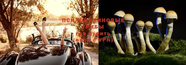 скорость mdpv Белокуриха