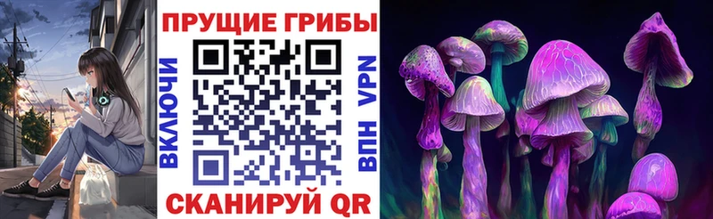 Псилоцибиновые грибы MAGIC MUSHROOMS  Купить  Горно-Алтайск 
